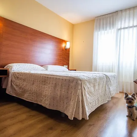 Viella Asturias Гостевой дом Овьедо