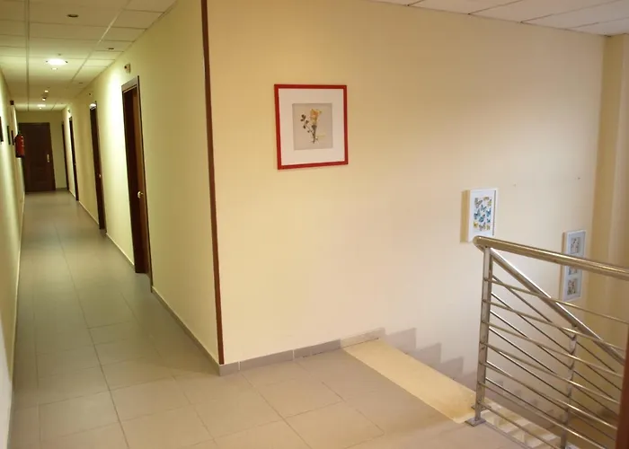 Viella Asturias Oviedo